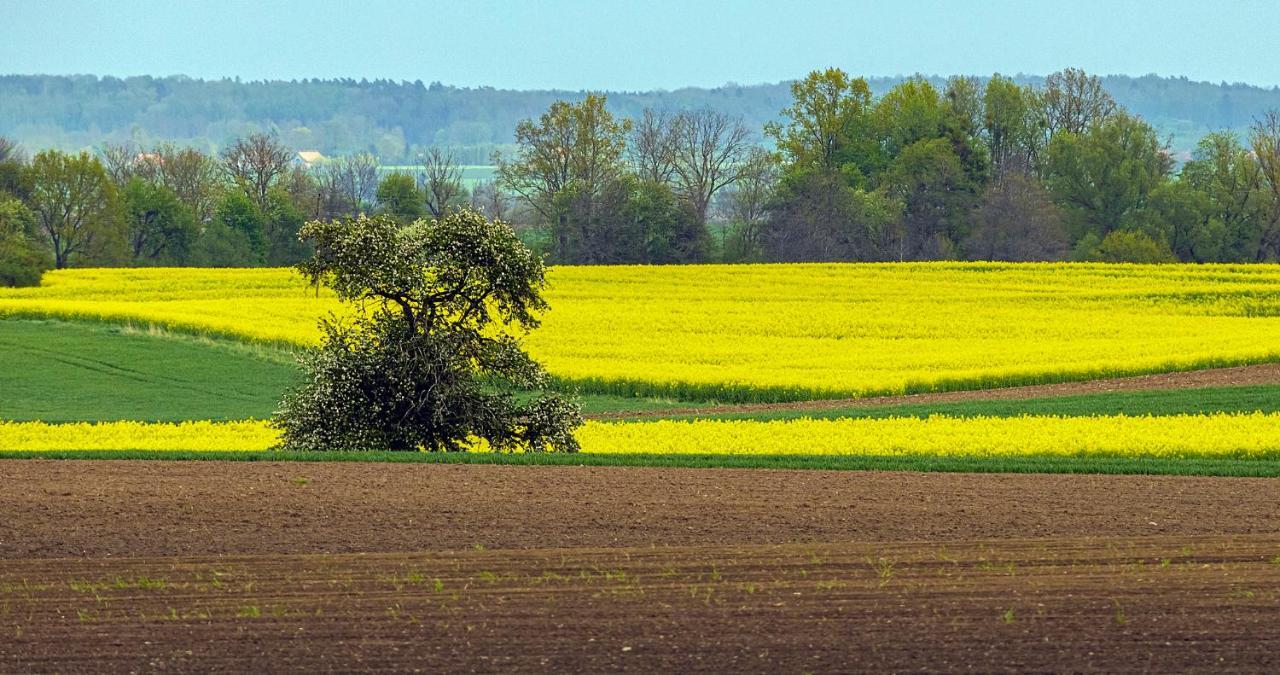 Cztery Luksusowe Domy Na Mazurach, Jezioro Juksty - Sakurarest Sniadowo  Экстерьер фото